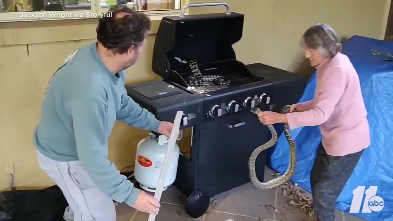 Gutsy grandma pulls snakes from barbecue grill