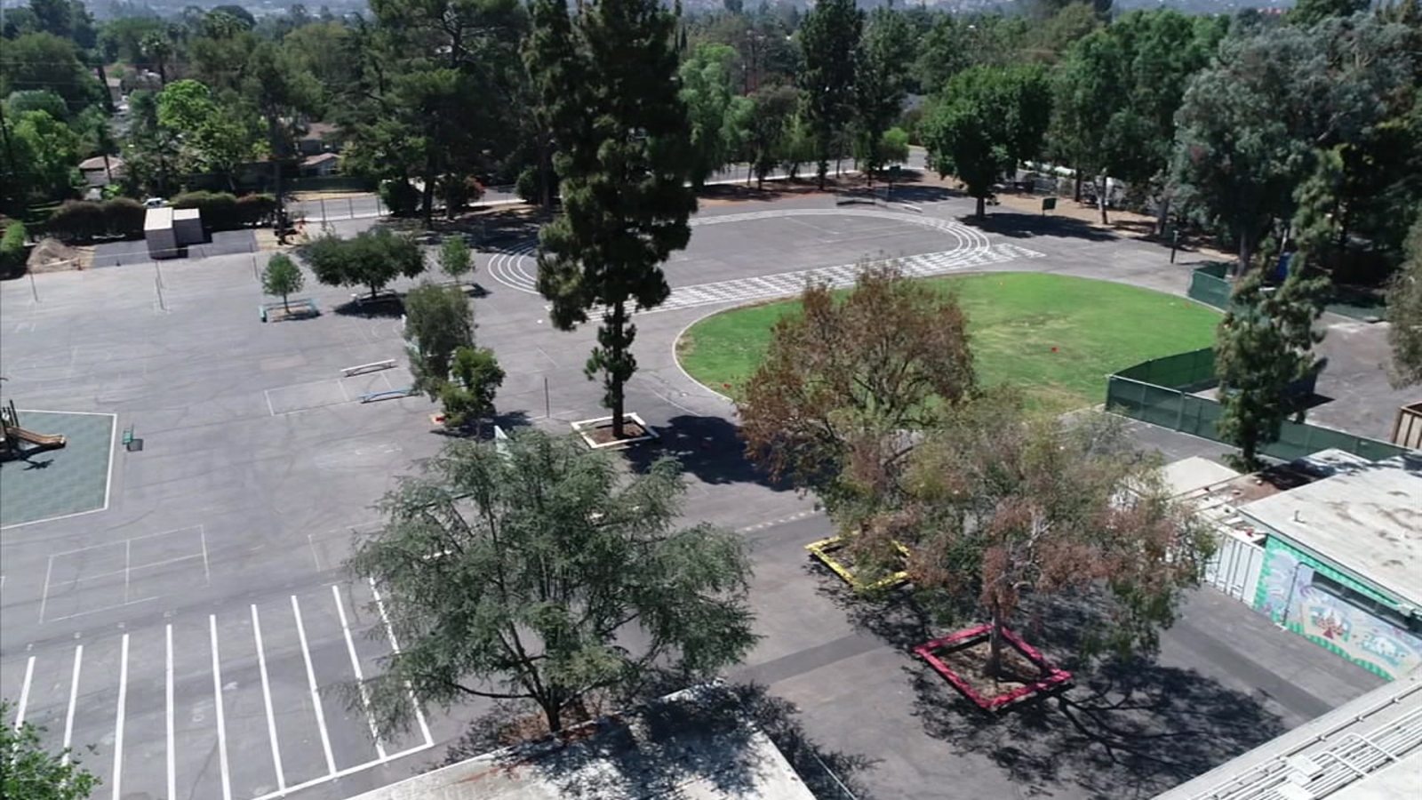 Parents in Valley Village battle school district over tree removal