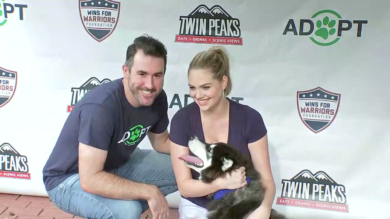Kate Upton and Justin Verlander raise awareness about local animal shelters