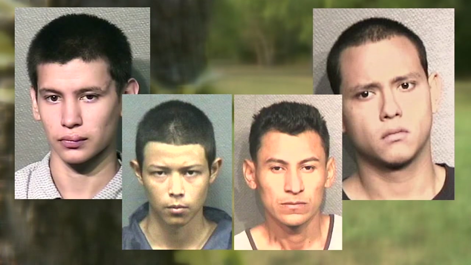 MS-13 gang members used machete to kill man cooperating with Houston ...