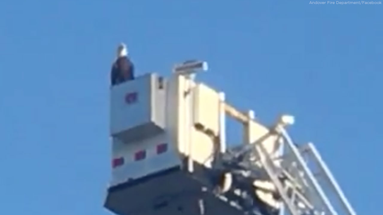 Eagle lands on fire truck during 9/11 tribute