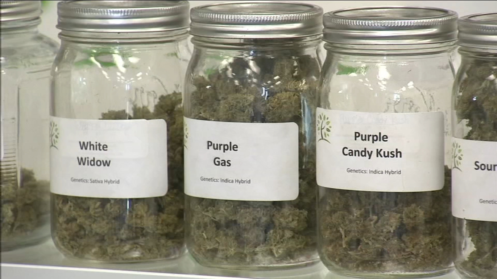Legal medical marijuana stores could start opening up in Fresno ABC30