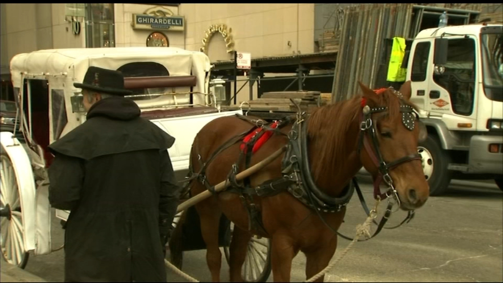 City Council committee considers ban on horsedrawn carriages in
