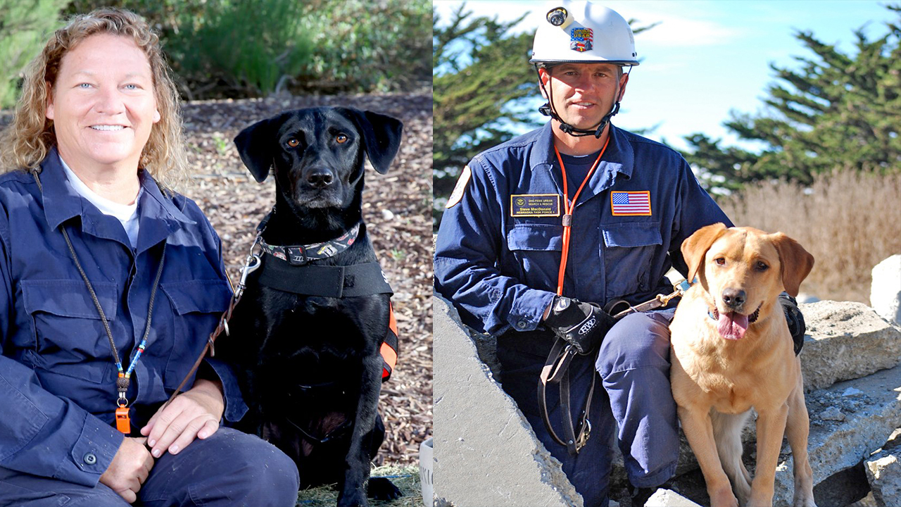 Search dogs sent to NC coast to help with Hurricane Florence