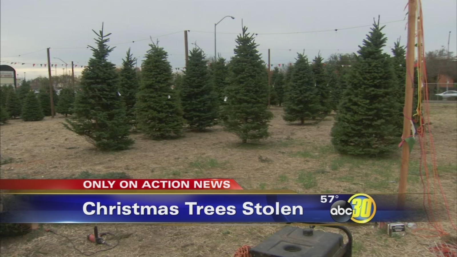 Christmas trees stolen from a Northwest Fresno lot ABC30 Fresno
