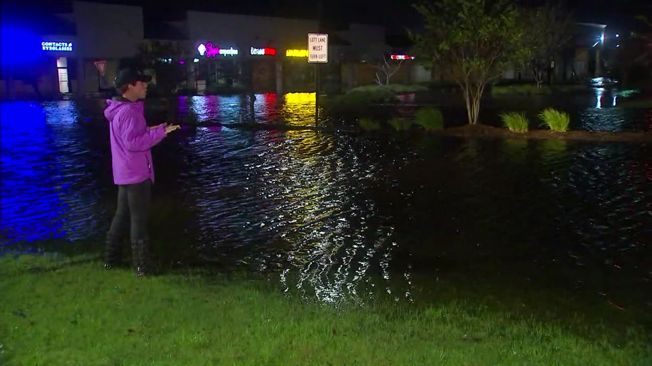 Diane Wilson gives up from Wilmington