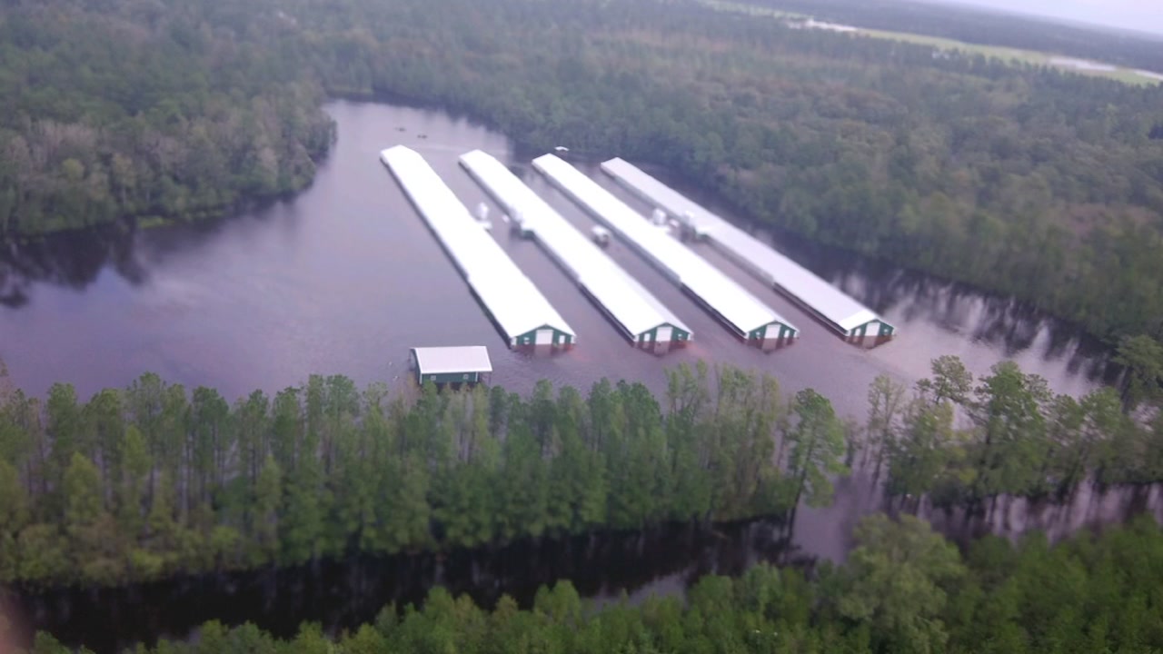 Chickens and hogs were killed from Florence