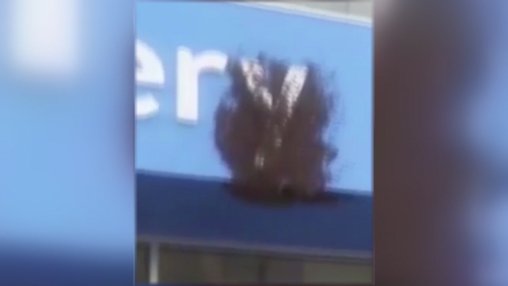 Thousands of bees invade Walmart store in NW Harris Co. 