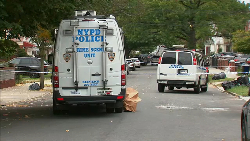 Woman Charged With Stabbing 3 Infants 2 Adults At Flushing Queens Birthing Center Abc7 New York