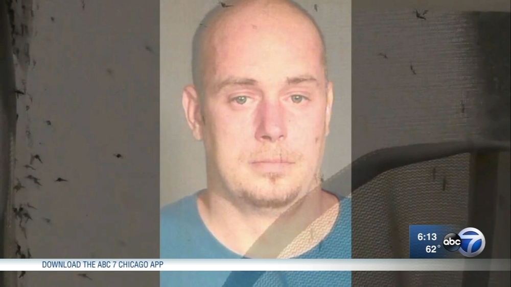 Mosquitoes force suspect to surrender in Wisconsin