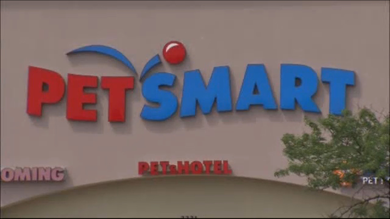 dog deaths at petsmart after grooming documented but link uncertain