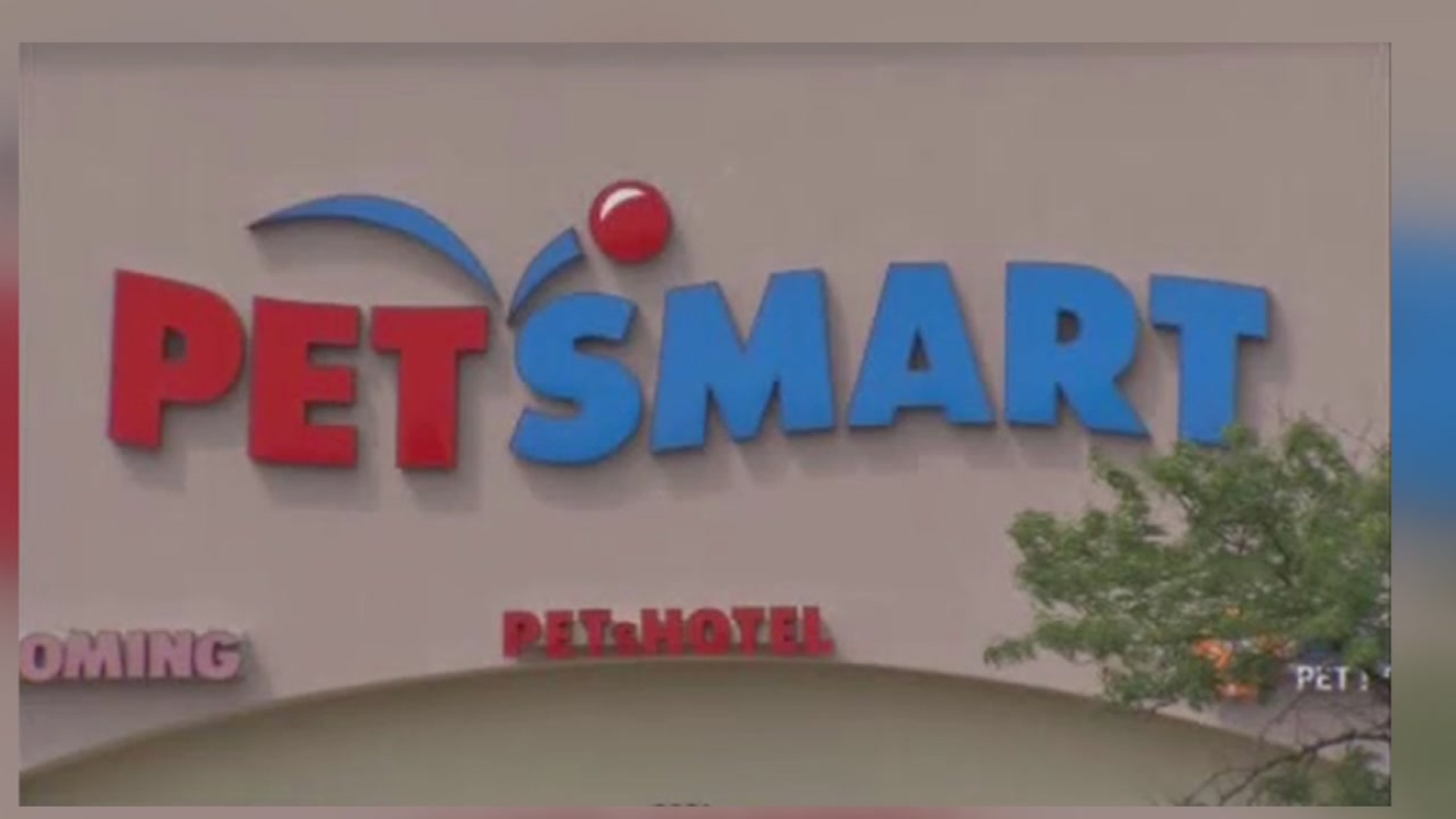 47 dogs reported dead due to PetSmart grooming across US ABC13 Houston