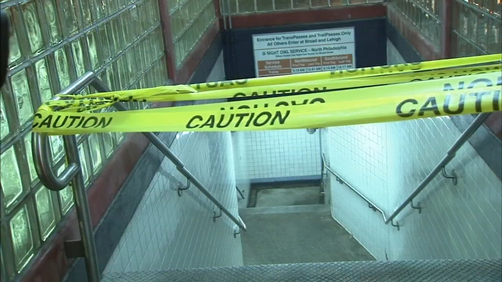 Boy falls to his death between subway cars