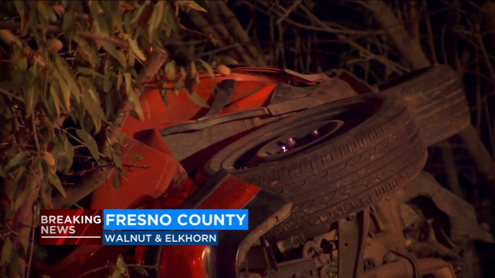 Speeding vehicle slams into walnut tree, killing two in Caruthers