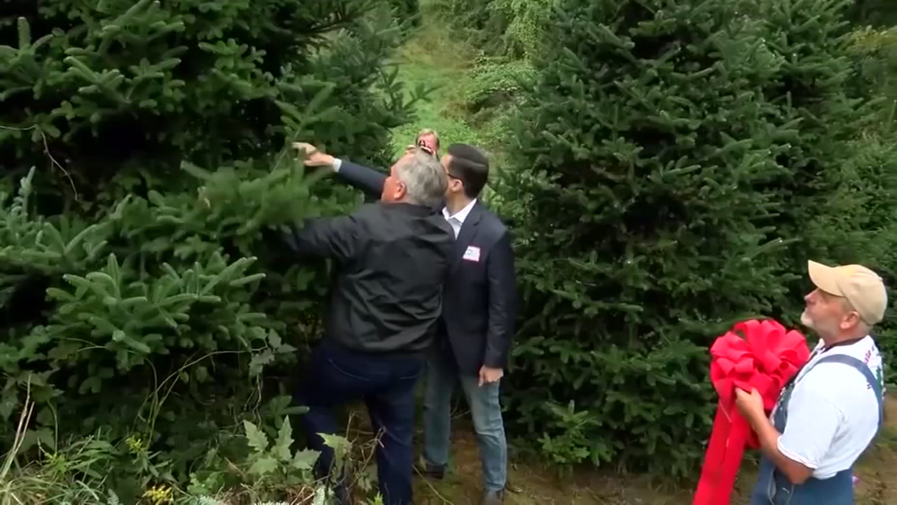 White House Christmas tree coming from NC