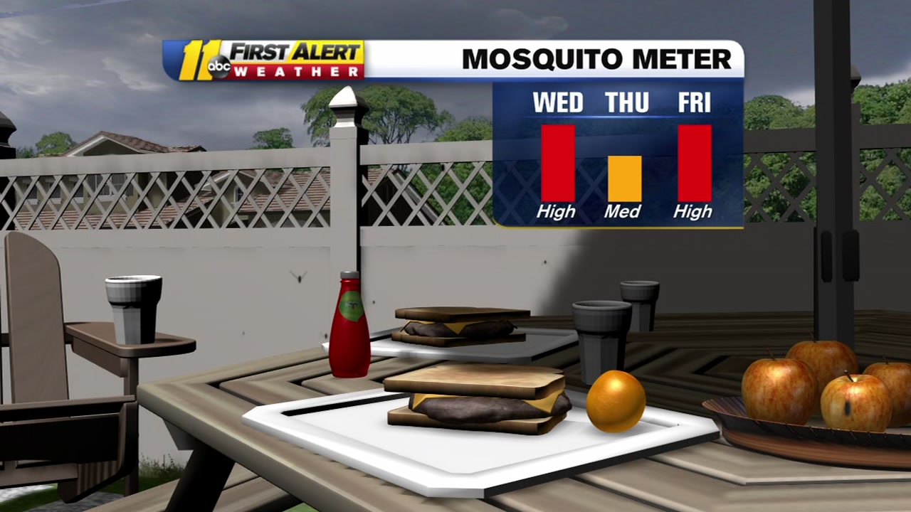 Post-storm mosquitoes continue to linger after Hurricane Florence