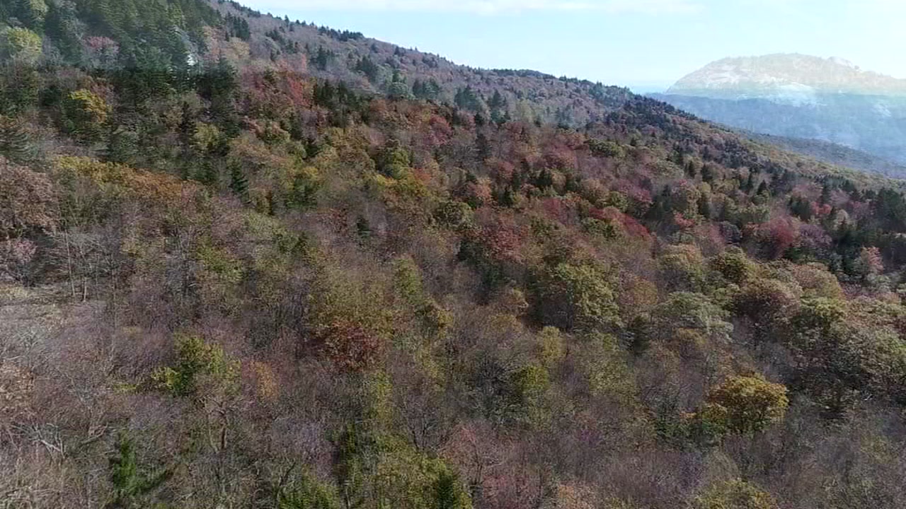 Will Florence cause any issues for fall colors in NC mountains?