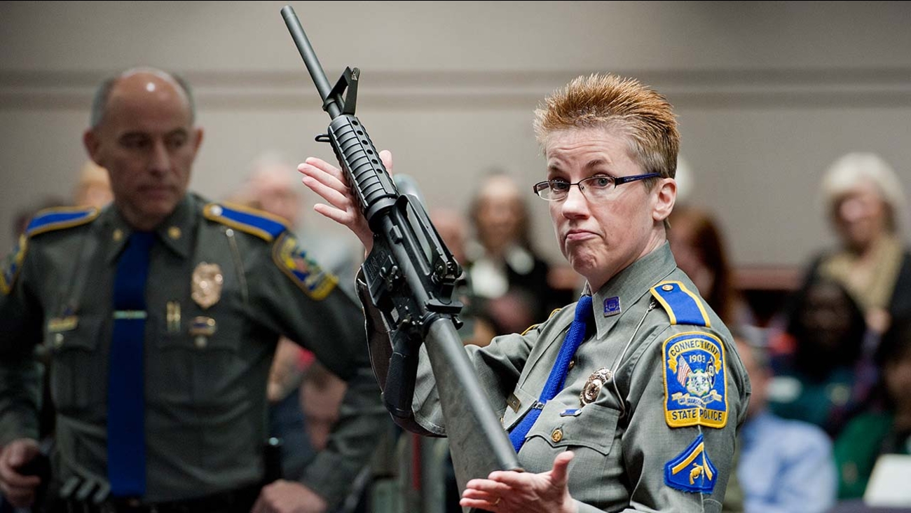 Newtown Victims Families Sue Bushmaster The Ar 15 Rifle Manufacturer Abc7 Chicago