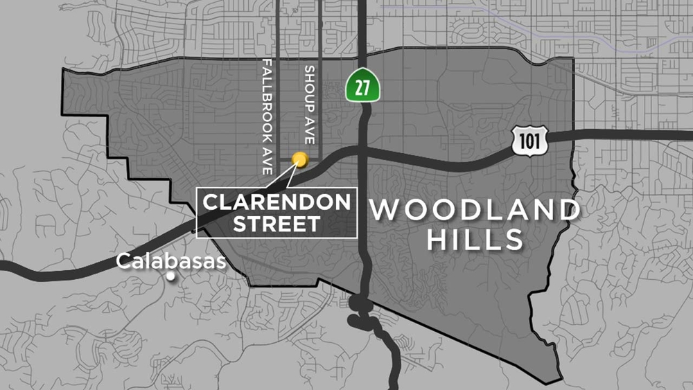 Baby attacked by pit bull in Woodland Hills