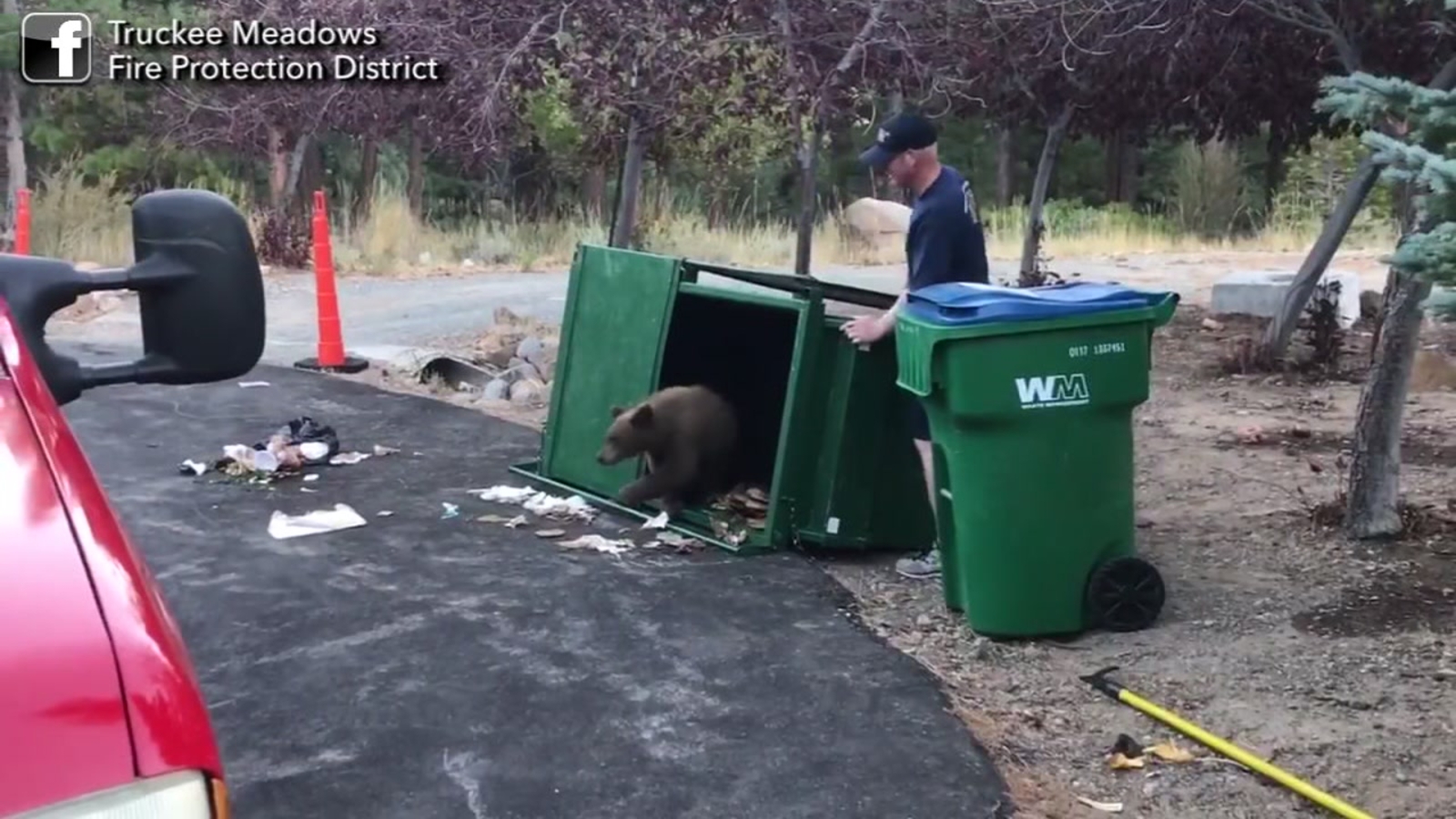 VIDEO Reno firefighters rescue 3 bear cubs trapped inside garbage bin