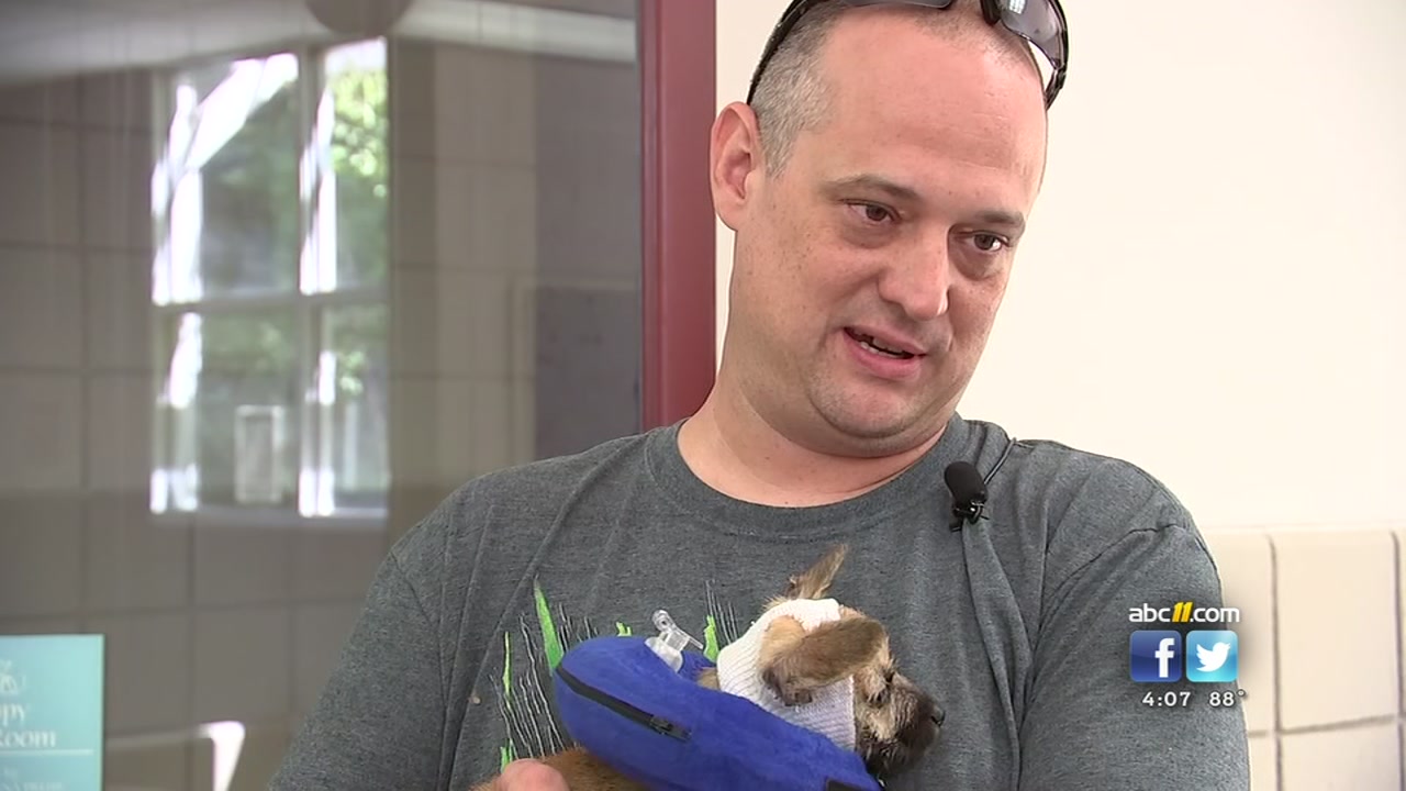 Puppy recovering after being tied to tree near Zebulon swamp