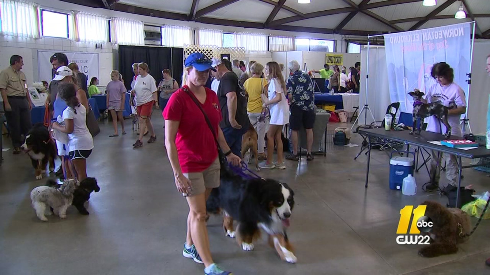 NC State Fairgrounds hosts American Kennel Club Responsible Dog