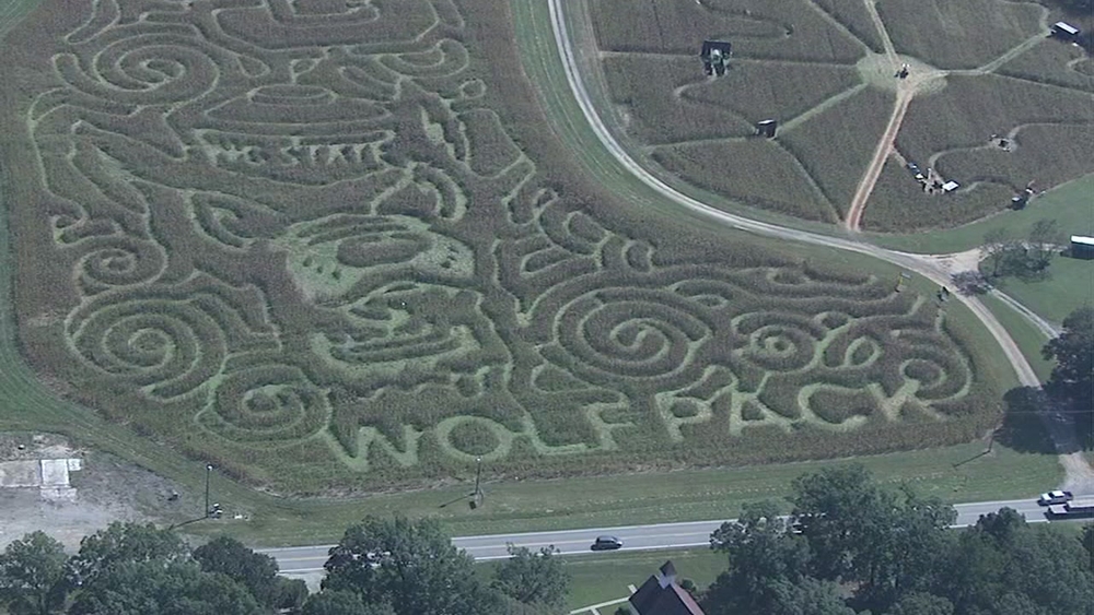 Amazing corn maze pays homage to NC State Wolfpack