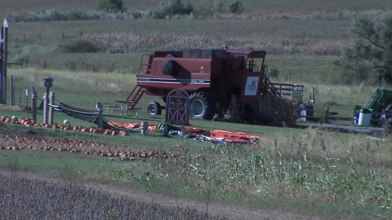 Toddler dies after strong wind sends bounce pad flying at pumpkin patch(01)