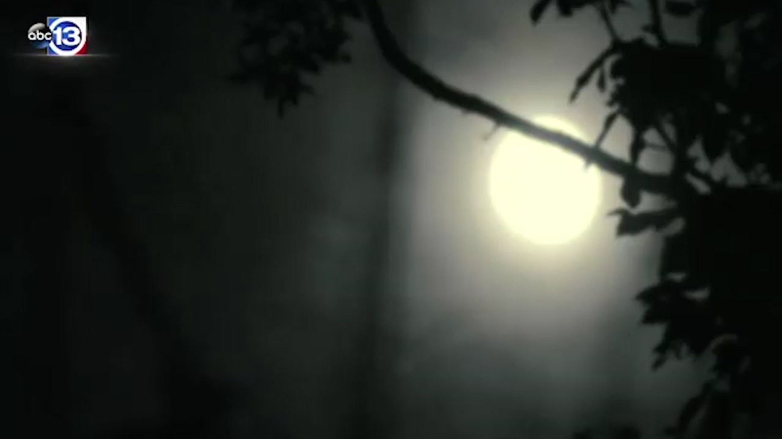 Houston's Top 10 Haunted Houses