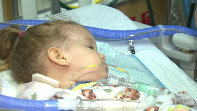 Acute flaccid myelitis: 9 cases of rare polio-like illness reported in