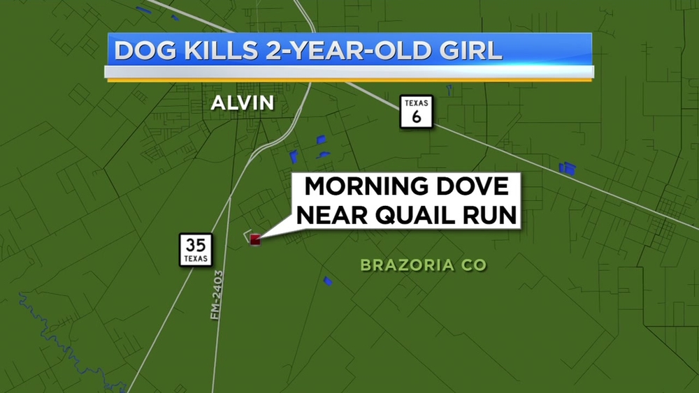 2-year-old mauled to death by family dog in Alvin