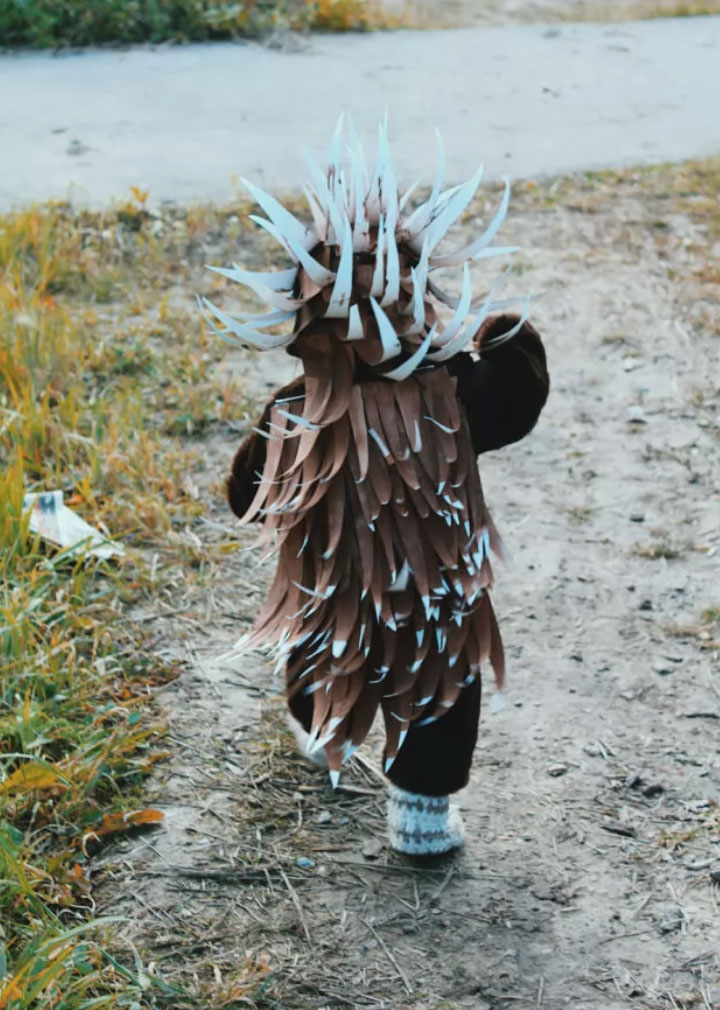 Mom knocks it out of the park with DIY porcupine Halloween costume for