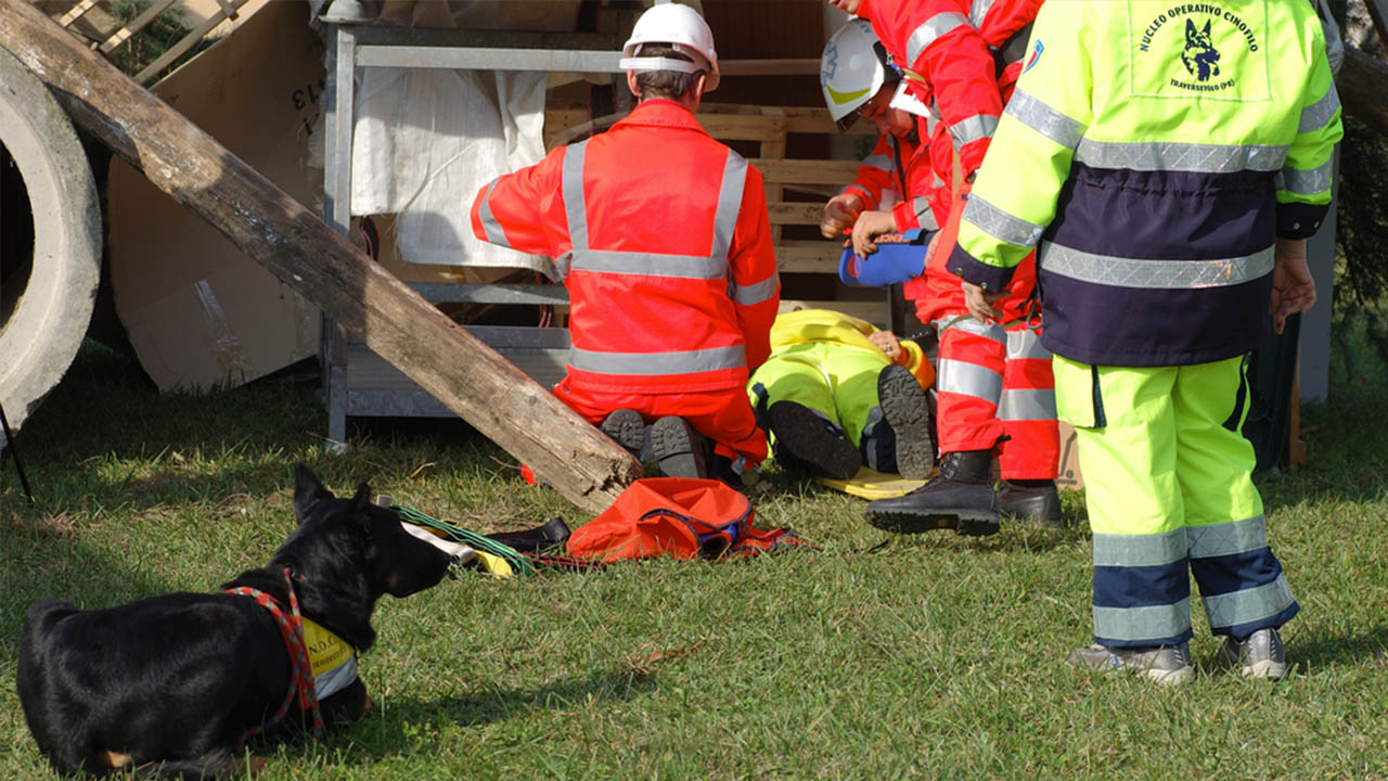 VIDEO Dog chases ambulance driving its owner ABC30 Fresno