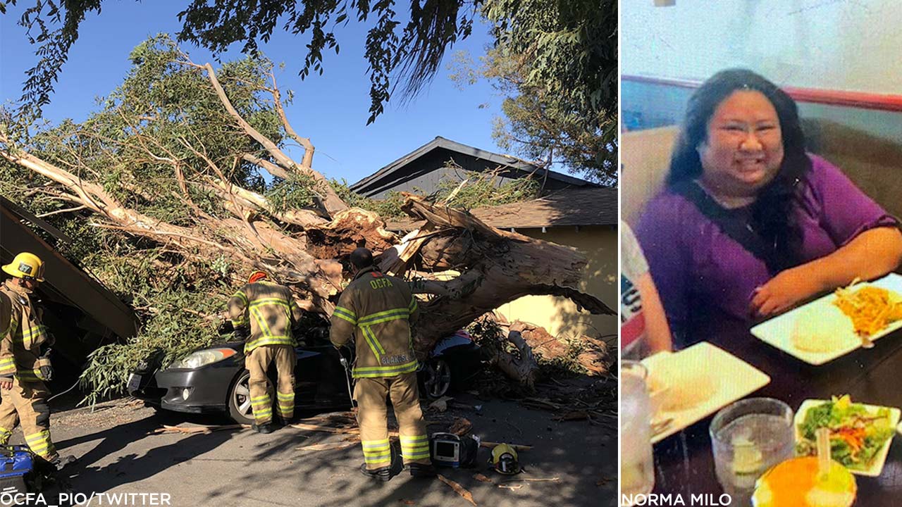 Tree in Tustin falls on car, kills woman inside