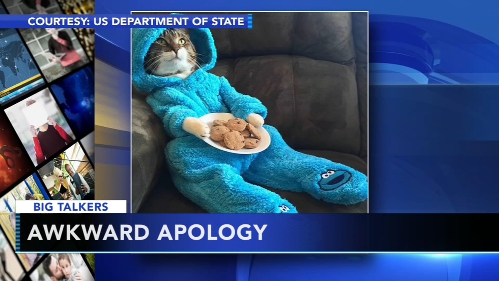 U.S. embassy accidentally sends out cat pajama party invitation