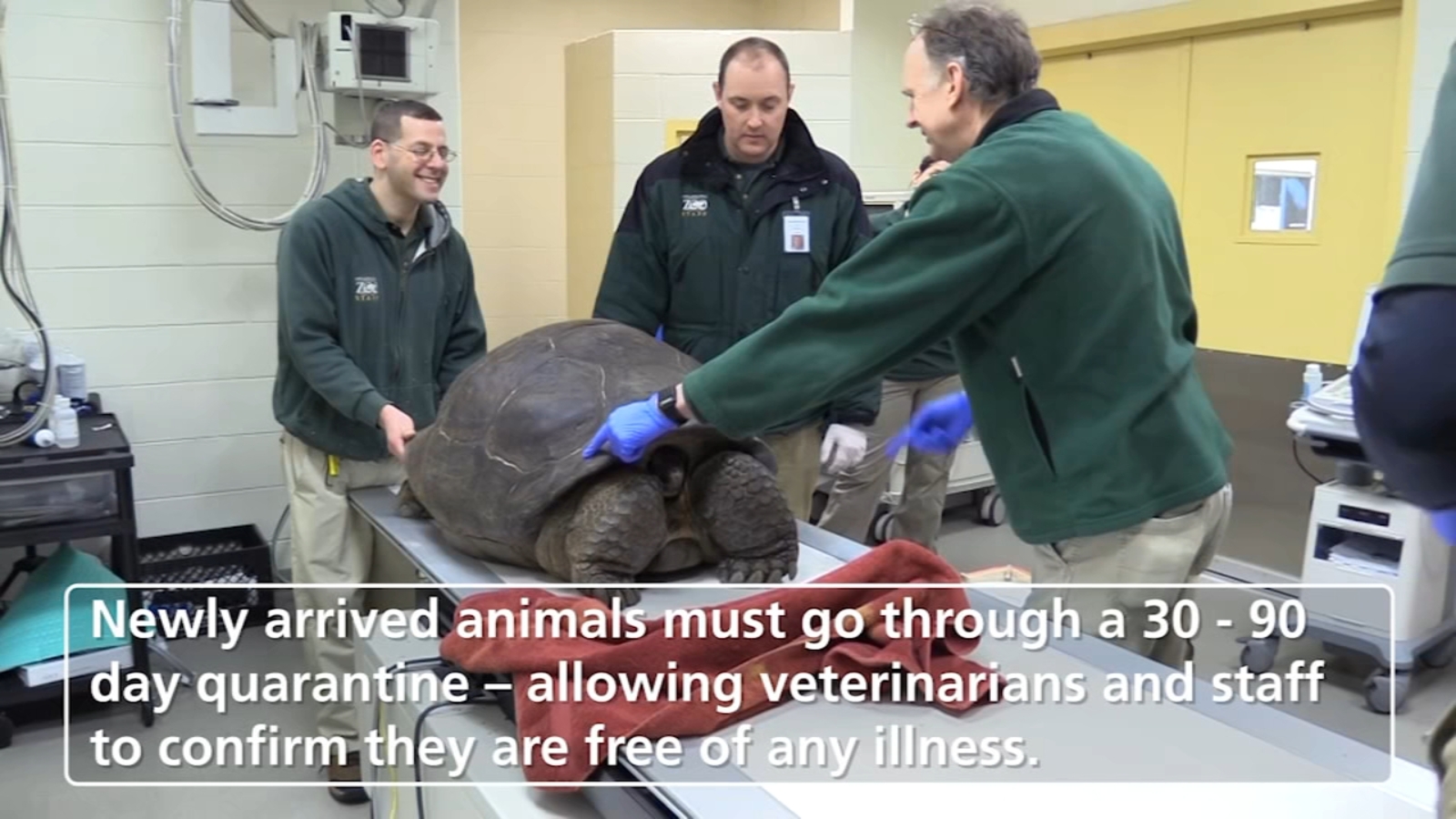 Philly Comes To Life: Animal Hospital - 6abc Philadelphia