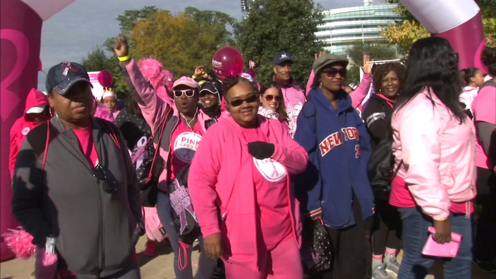 Making Strides Against Breast Cancer Chicago Walk ABC7 Chicago