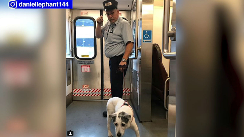 New Jersey Transit conductor stops train to rescue dog from tracks