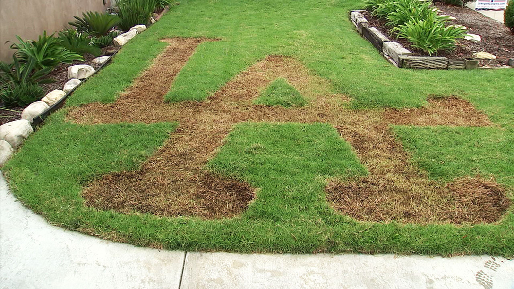 Dodgers family in Torrance mows LA symbol into front lawn for boys in blue