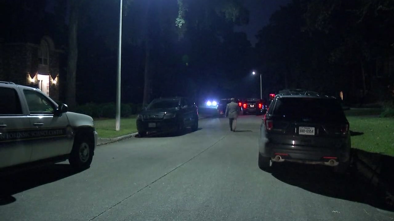 Man fatally shot after pointing gun at officers