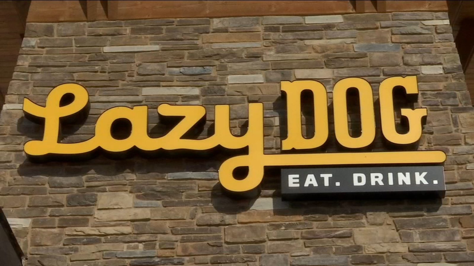 Lazy Dog celebrates grand opening in Northwest Fresno ABC30 Fresno