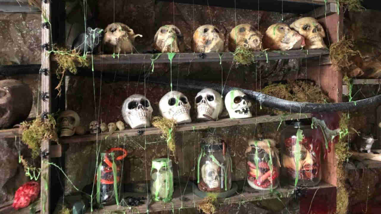 Witch's den, haunted forest sprout in South Bay neighborhood for Halloween