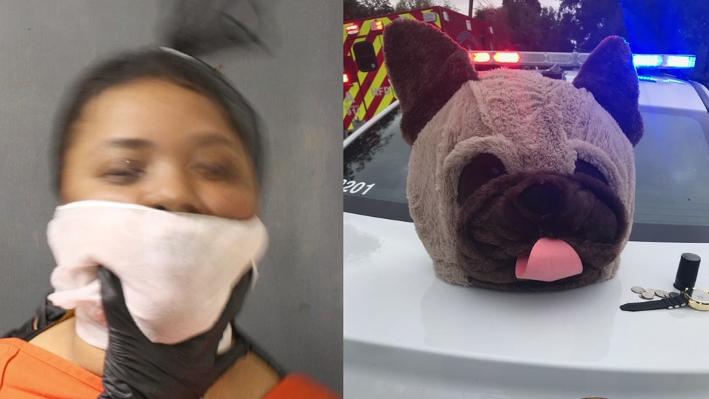 Woman in dog head costume leads police on chase