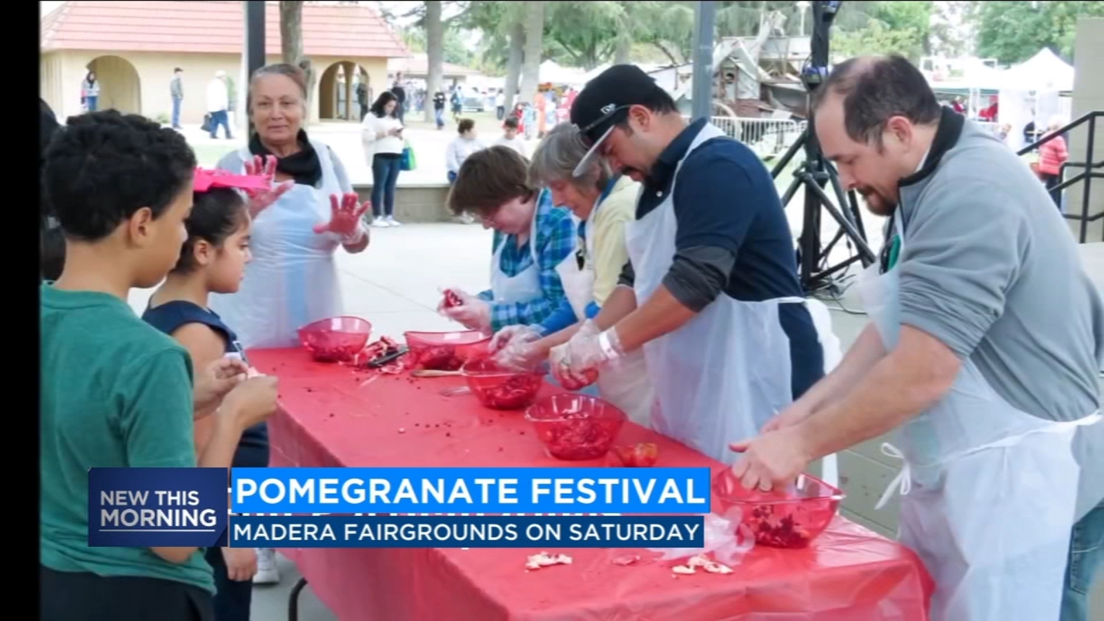 Madera Pomegranate, Fruit and Nut Festival kicks off tomorrow ABC30