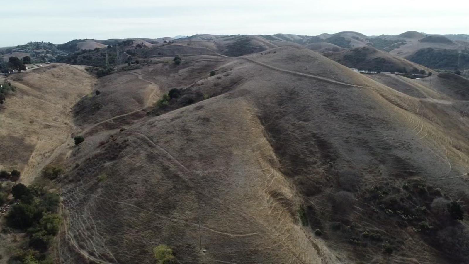 DRONEVIEW7 over dry hills near Crockett in Contra Costa County ABC7