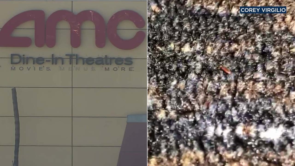 VIDEO: Tiny bugs crawl all over carpet at Ontario AMC Theatre