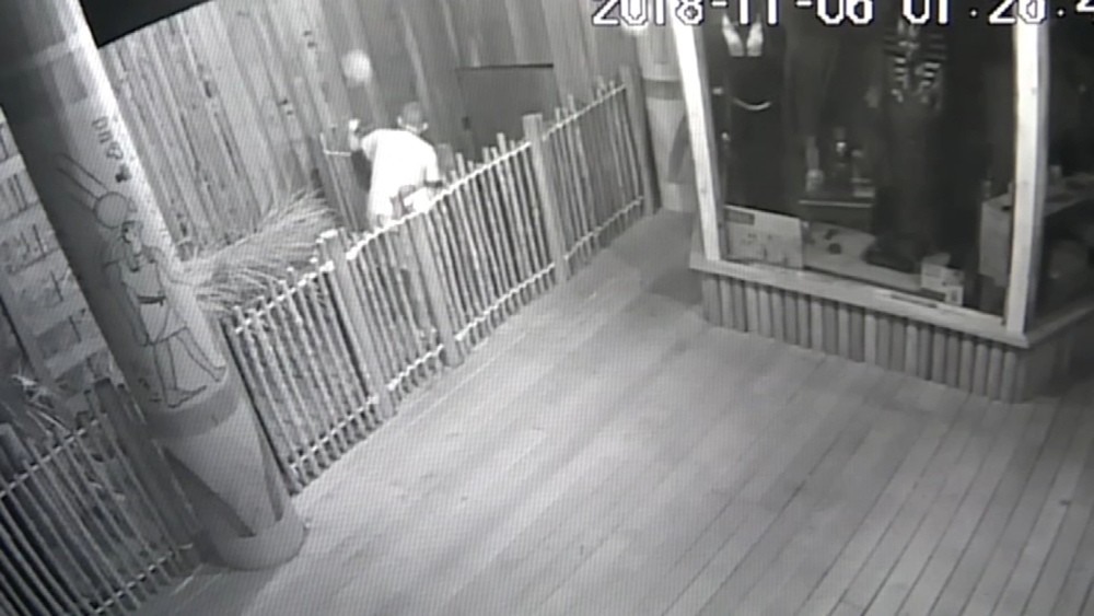 Man climbs building, dives into pond, wrestles with crocodile, and survives