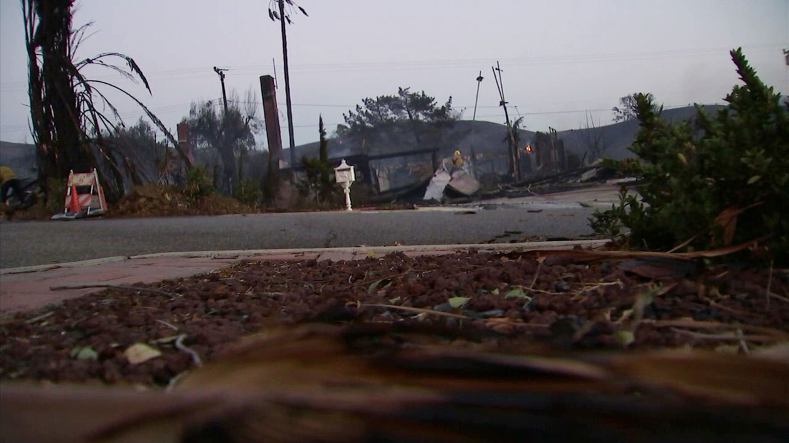 Tsunami zone ventura