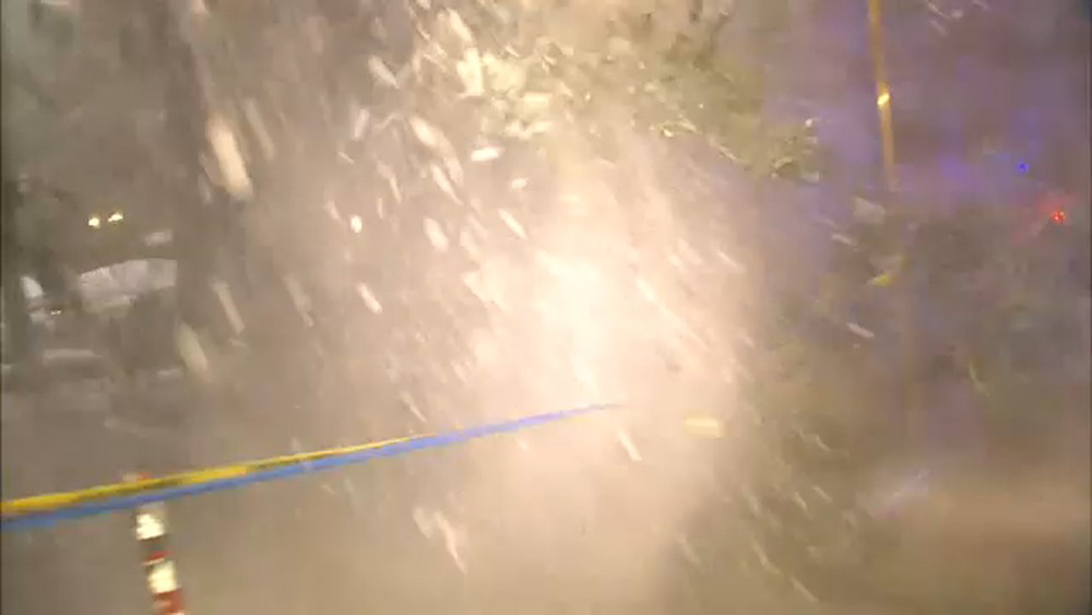 Heavy snowfall causes tree to fall on Upper West Side