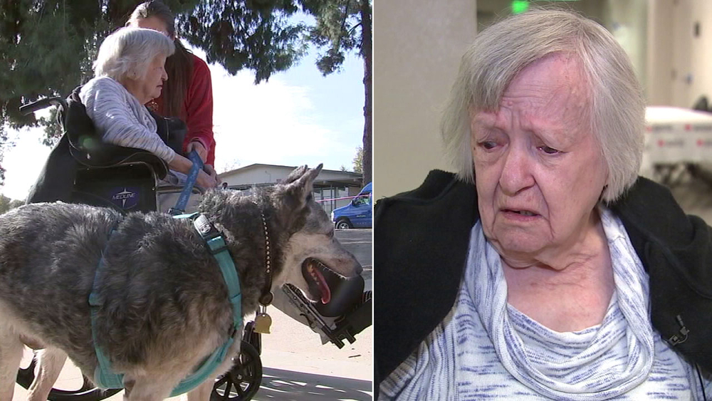 97-year-old woman and dog have nowhere to go after Woolsey Fire